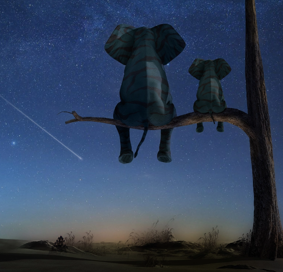 Éléphants Élefunk sur une branche, ciel étoilé